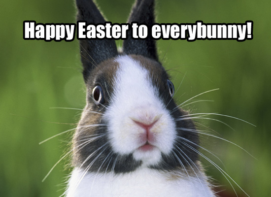 Happy Easter To Every Bunny Funny Easter Caption