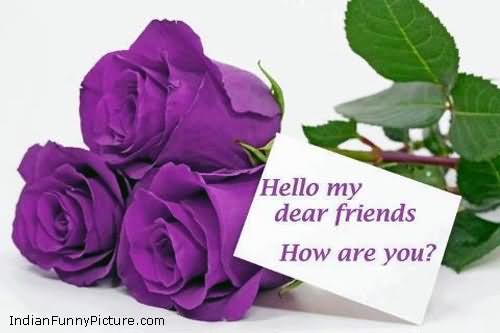 Hello My Dear Friends How Are You Purple Rose Picture