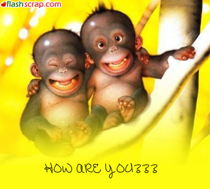 How Are You Funny Monkey Friends Picture