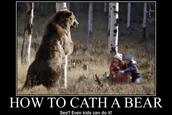 How To Cath A Bear Funny Poster