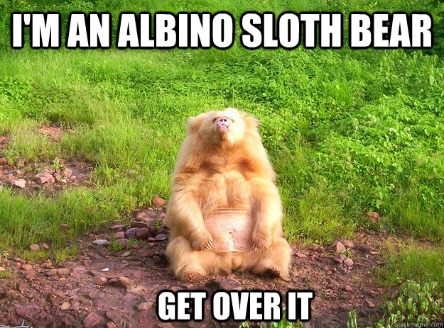 I Am An Albino Slother Bear Funny Meme