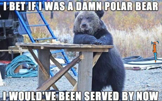 I Bet If I Was A Damn Polar Bear Funny Bear Meme