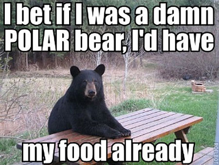 I Bet If I Was A Damn Polar Bear Funny Meme