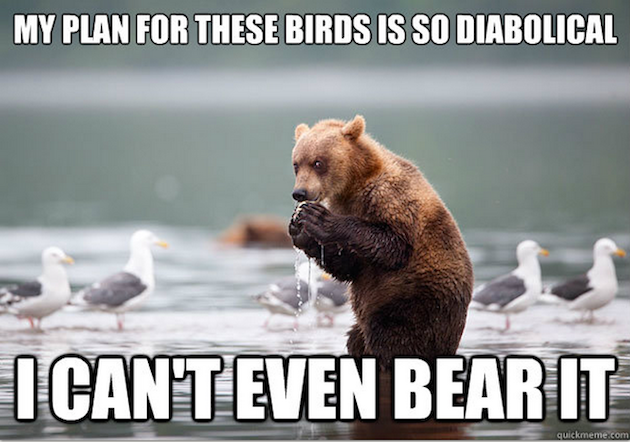 I Can't Even Bear It Funny Bear Meme
