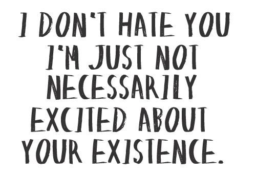 I Don't Hate I'm Just Not Necessarily Excited About Your Existence