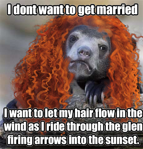 I Dont Want To Get Married Funny Bear Meme
