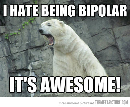 I Hate Being Bipolar Funny Polar Bear Meme