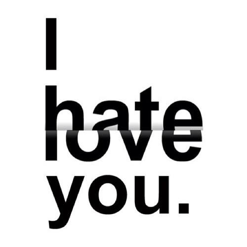 25 Very Best I Hate You Pictures