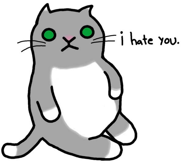 I Hate You Kitty Picture