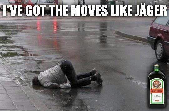 I Have Got The Moves Like Jager Funny Kick Picture