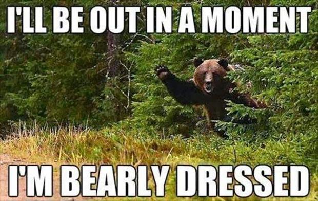 I Will Be Out In A Moment Funny Bear Meme
