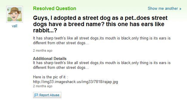Its Mouth Is Black Funny Yahoo Question Answer