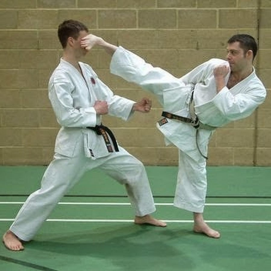 Karate Boys Funny Kick Picture