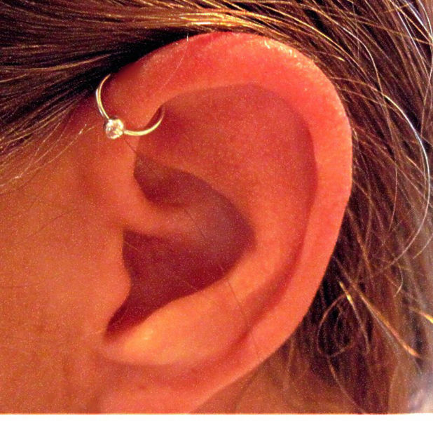 Left Ear Bead Ring Anti Helix Piercing