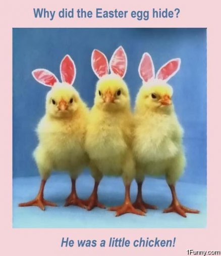Little Funny Easter Chicken