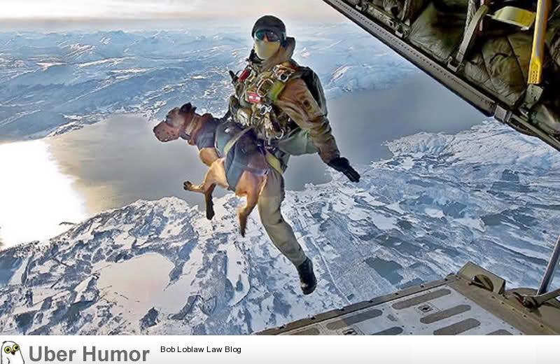 Man Funny Jumping With Dog From Plane