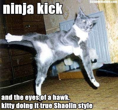 Ninja Kick Funny Caption