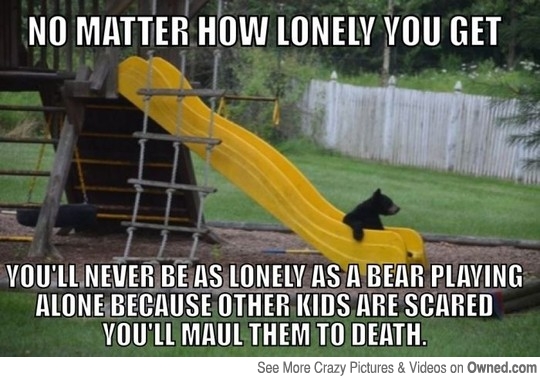 No Matter How Lonely You Get Funny Polar Bear Meme