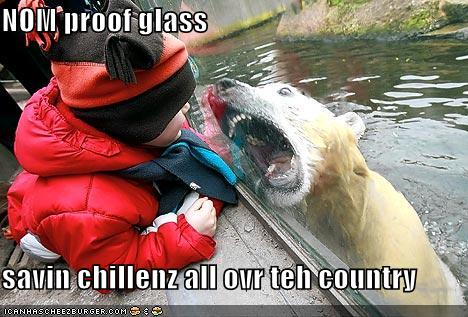 Nom Proof Glass Funny Polar Bear Meme