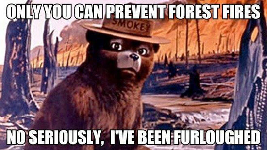 Only You Can Prevent Forest Fires Funny Bear Meme