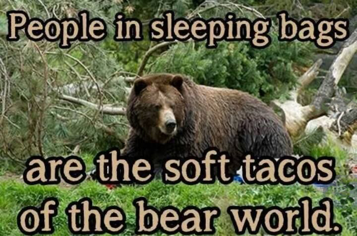 People In Sleeping Bags Funny Polar Bear Meme