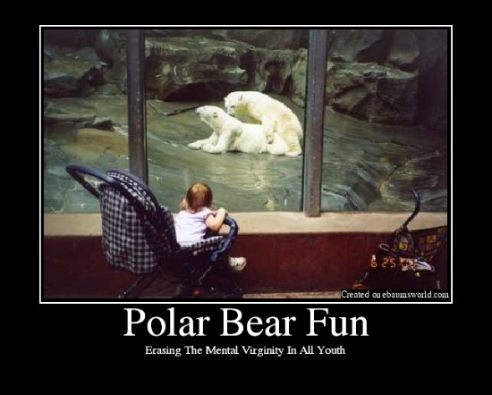 Polar Bear Funny Poster