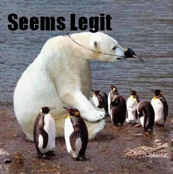Seems Legit Funny Polar Bear Penguin Meme