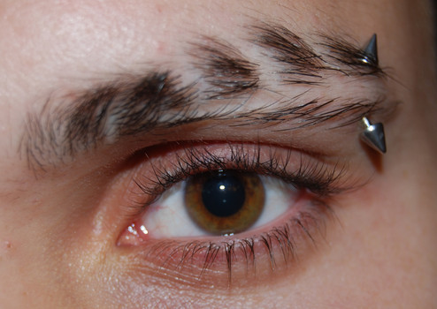 Silver Spike Barbell Eye Piercing Picture