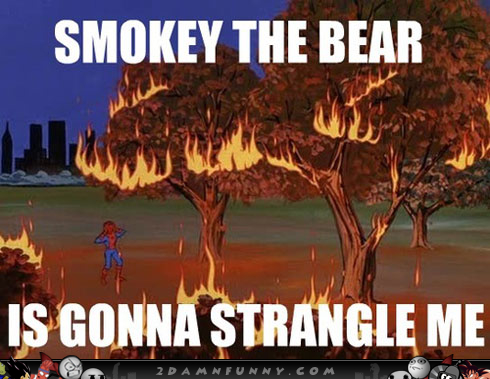 Smokey The Bear Funny Meme