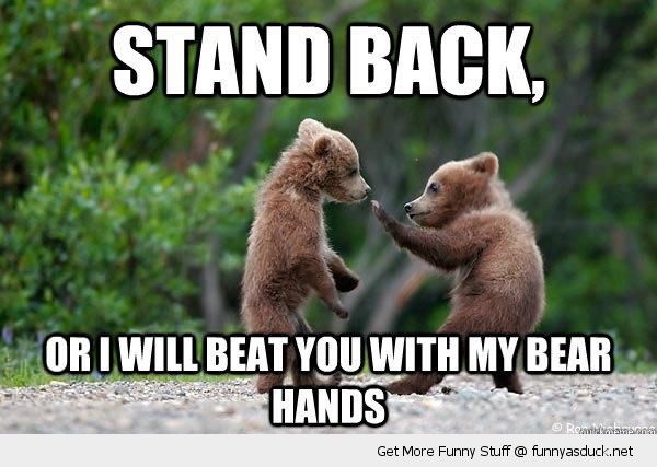22 Best Funny Fight Pictures