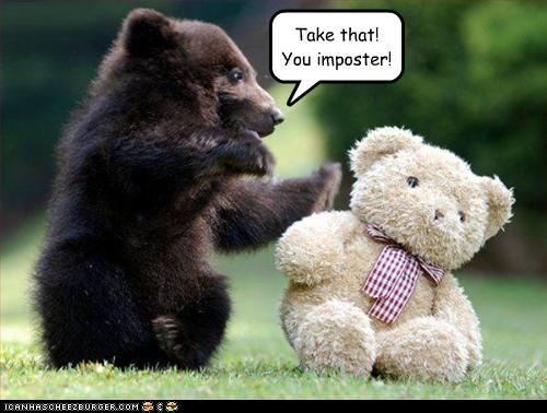 Take That You imposter Funny Bear Picture