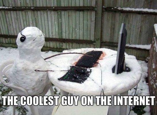 The Coolest Guy On The Internet Funny Caption
