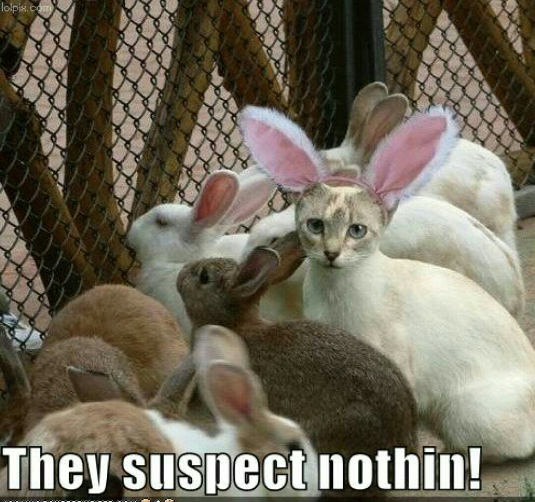 They Suspect Nothin Funny Easter Caption