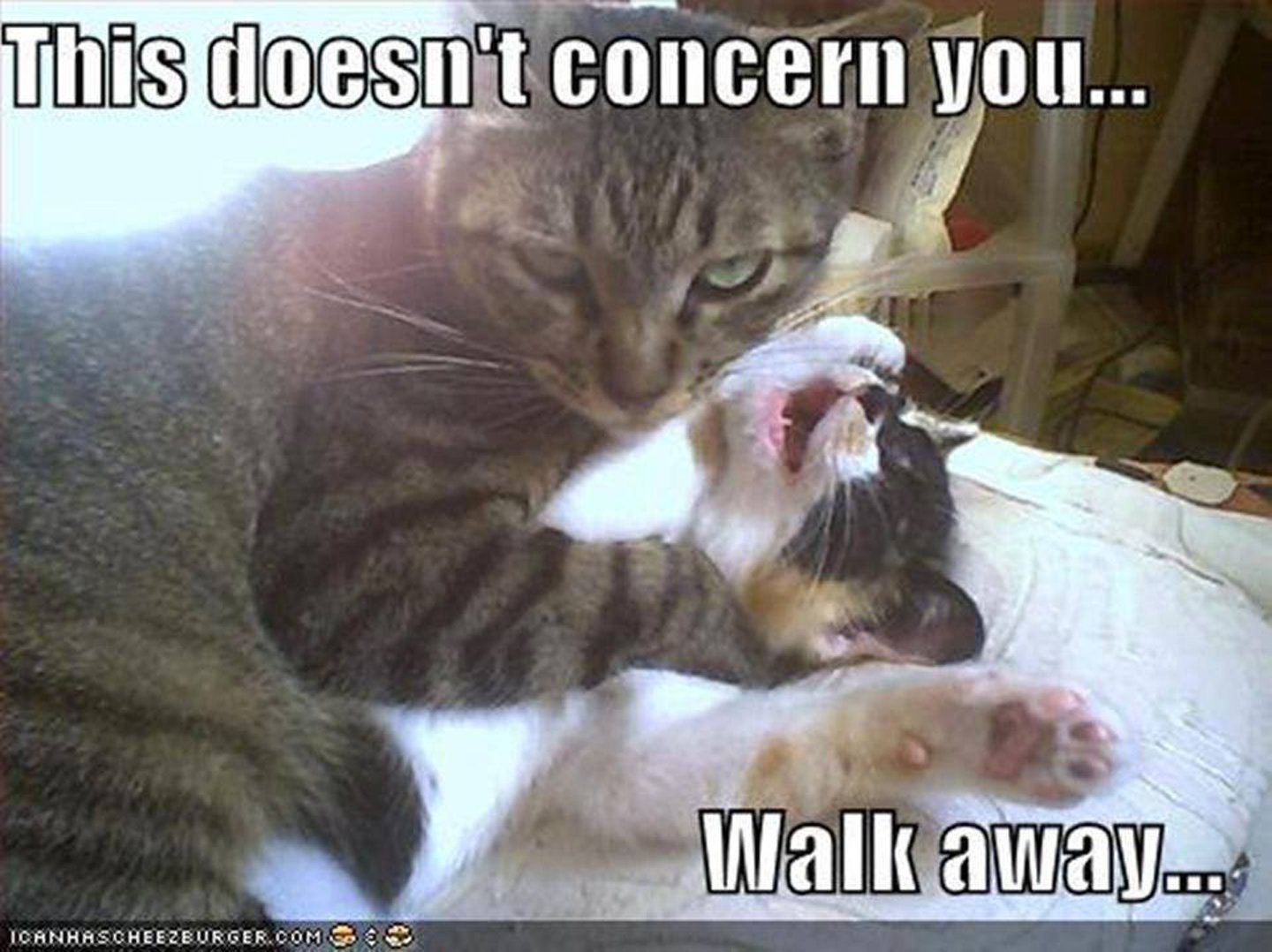 This Doesn't Concern You Funny Fight Meme