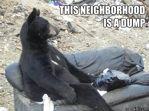 This Neighborhood Is A Dump Funny Bear Meme