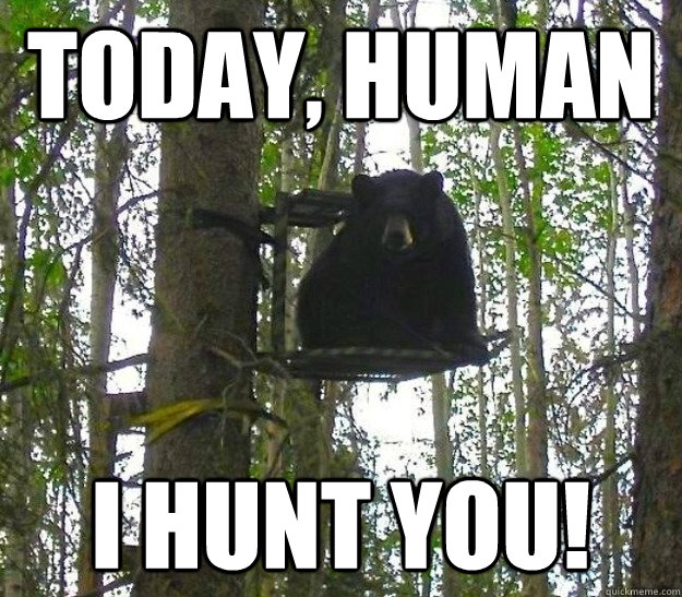 Today Human I Hunt You Funny Bear Meme
