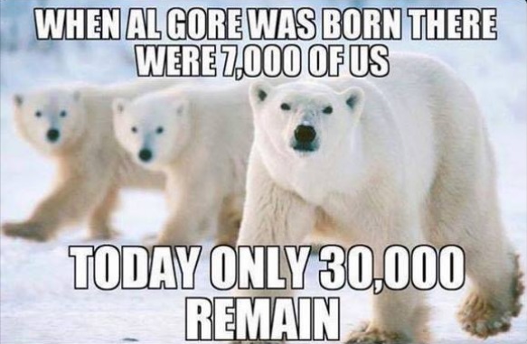 Today Only 30000 Remain Funny Polar Bear Meme