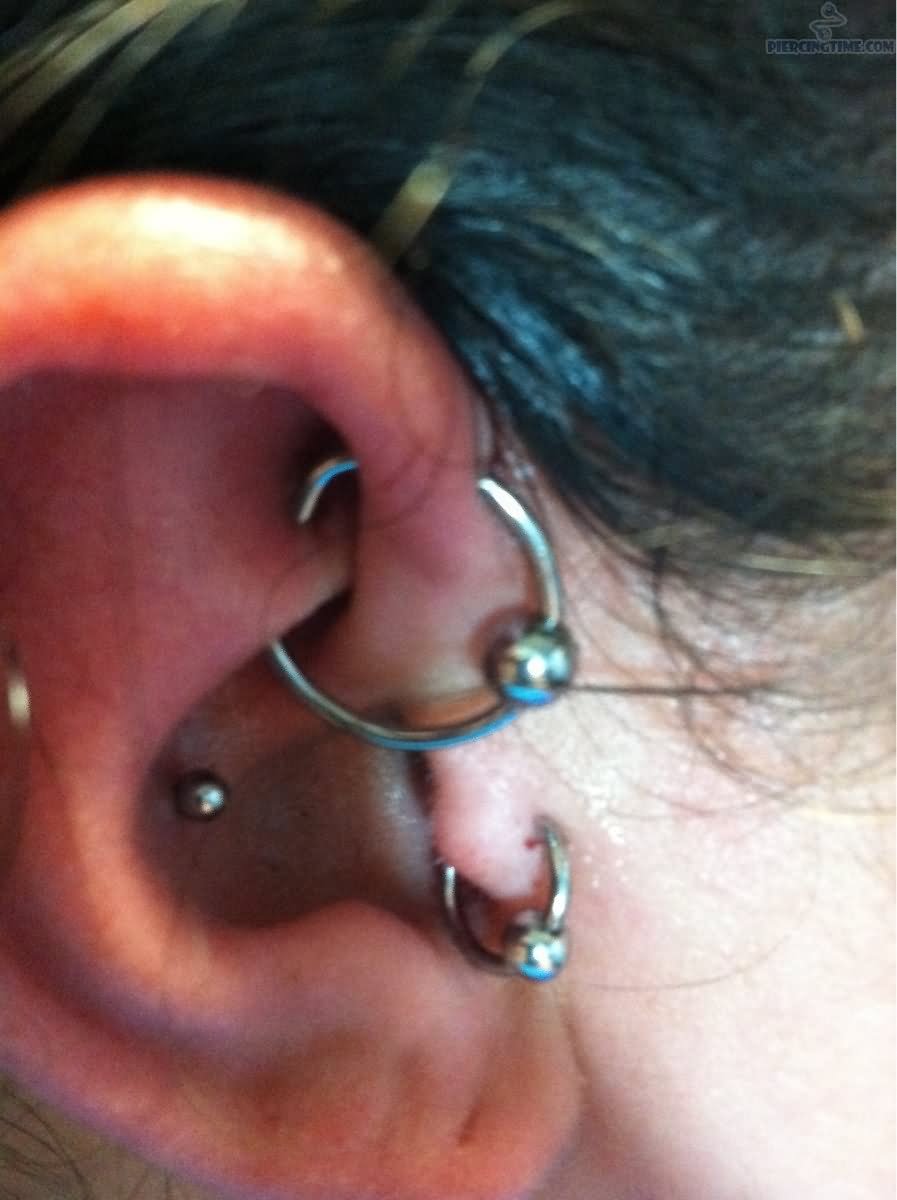 Tragus And Orbital Piercing Picture