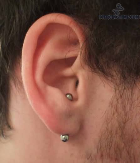 Vertical Silver Barbell Transverse Lobe Piercing On Man Right Ear