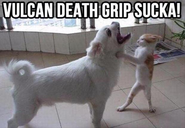 Vulcan Death Grips Sucks Funny Fight Caption