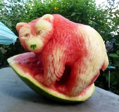 Watermelon Bear Funny Picture For Whatsapp