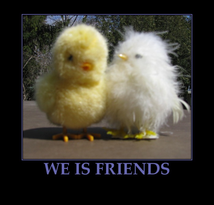We Is Friends Funny Easter Chickens