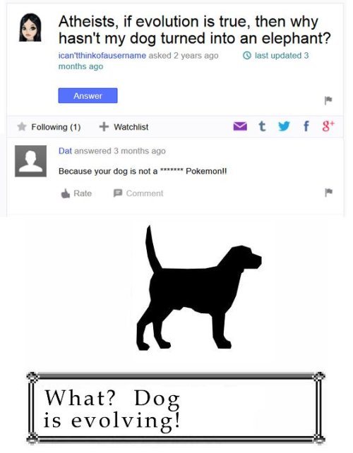 What Dog Is Evolving Funny Yahoo Question Answer