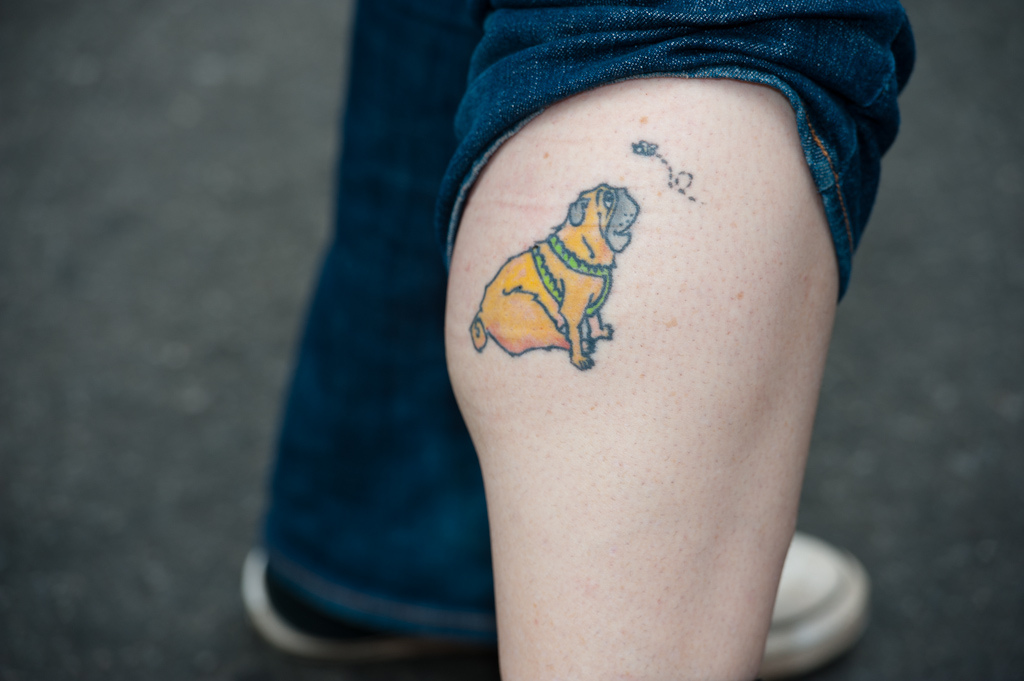 Yellow Cute Pug Dog Tattoo On Leg Calf
