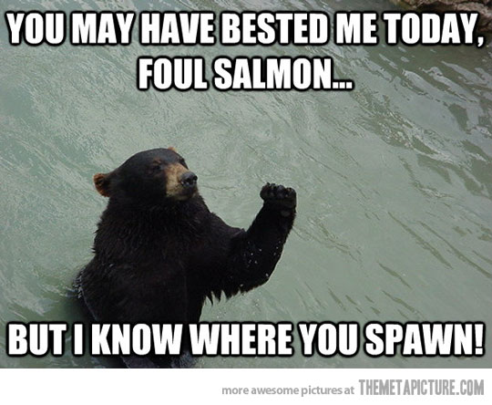 You May Have Bested Me Today Foul Salmon Funny Bear Caption