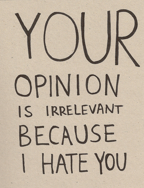 Your Opinion Is Irrelevant Because I Hate You