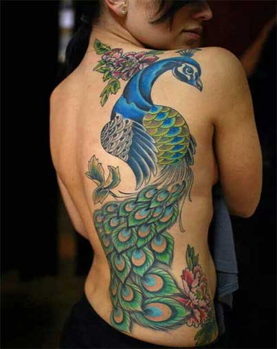 Awesome Colorful Peacock Tattoo On Girl Full Back