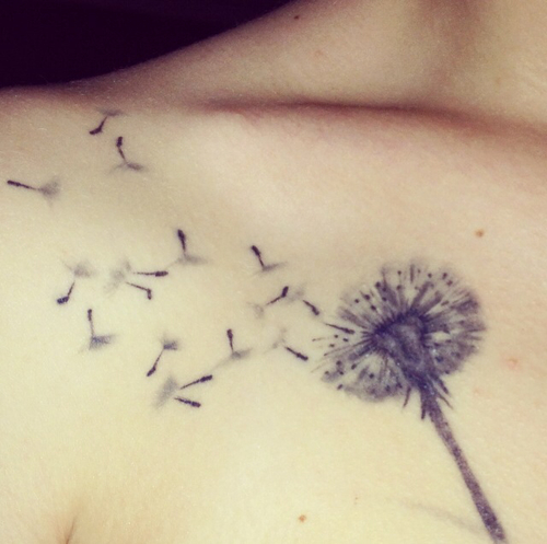 Black And Grey Dandelion Tattoo On Collarbone