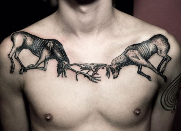 Black And Grey Two Deer Fighting Tattoo On Man Collarbone