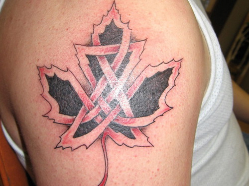 Black Celtic Maple Leaf Tattoo On Shoulder